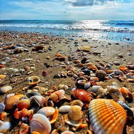 Pacific Palma Szálloda