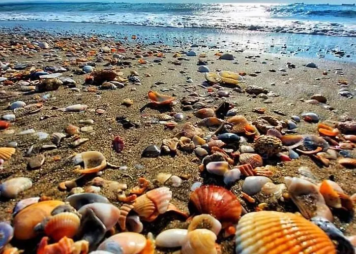 Pacific Palma Hotell